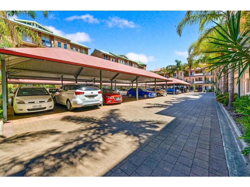 20/177 Angas Street, Adelaide SA 5000