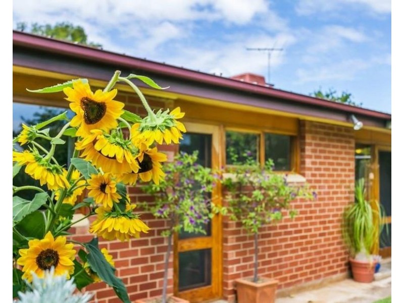 49 Grandview  Grove, Toorak Gardens SA 5065