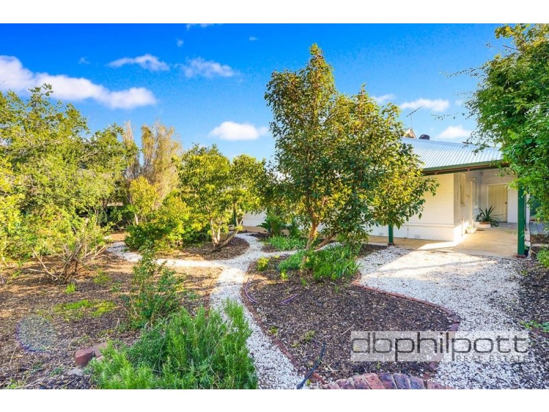 29 Springbank Road, Colonel Light Gardens SA 5041