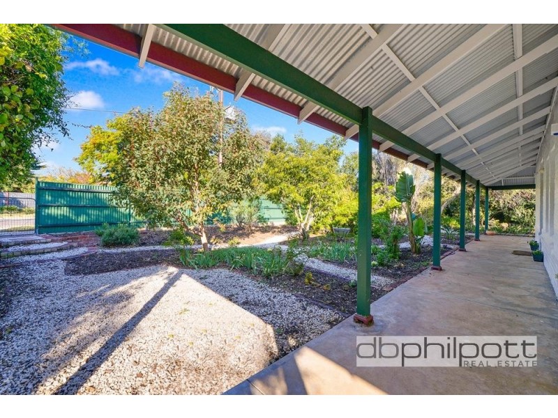 29 Springbank Road, Colonel Light Gardens SA 5041