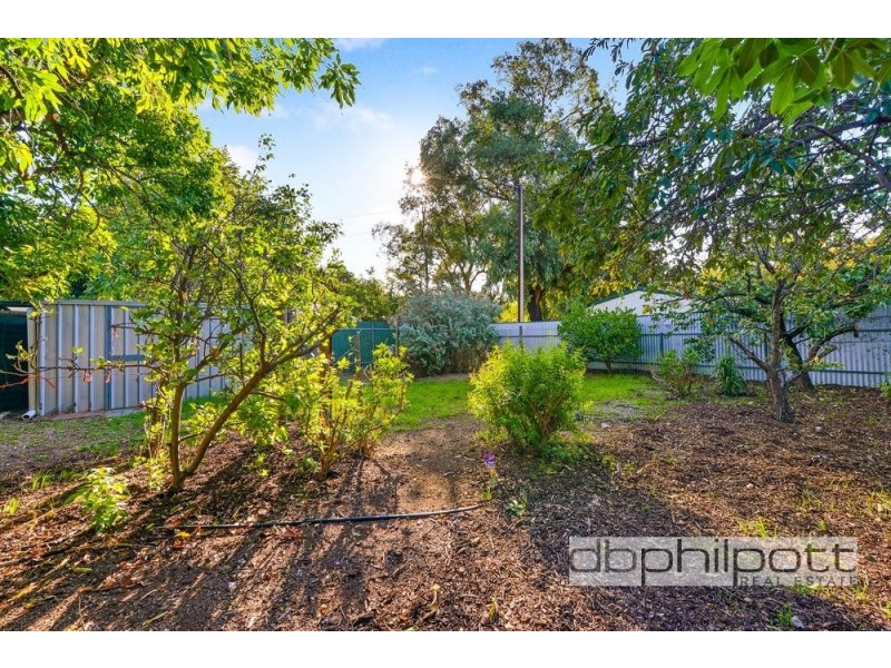 29 Springbank Road, Colonel Light Gardens SA 5041