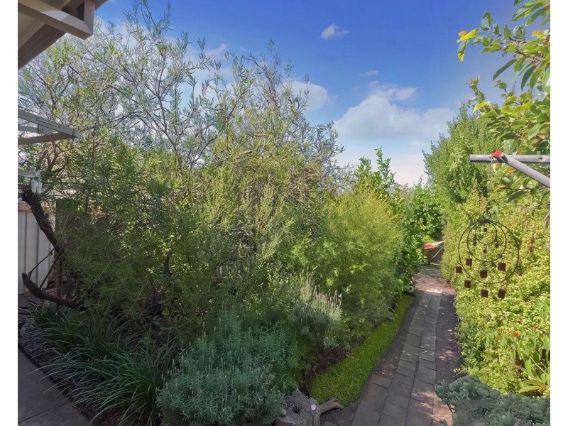 4/21 William Street, Prospect SA 5082