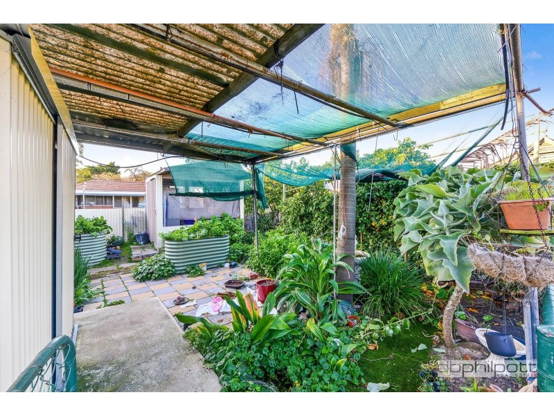 19 Aberfeldy Avenue, Edwardstown SA 5039