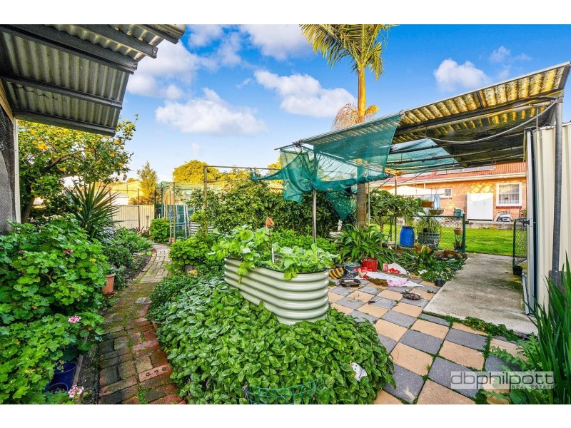 19 Aberfeldy Avenue, Edwardstown SA 5039