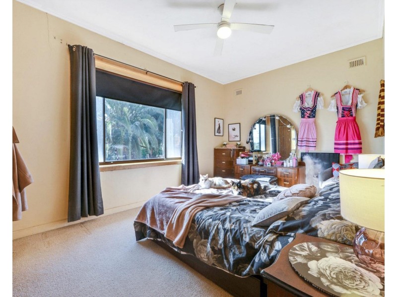 49 Whittington Street, Enfield SA 5085