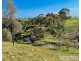 Lot 451 Gawler One Tree  Road, Uleybury SA 5114
