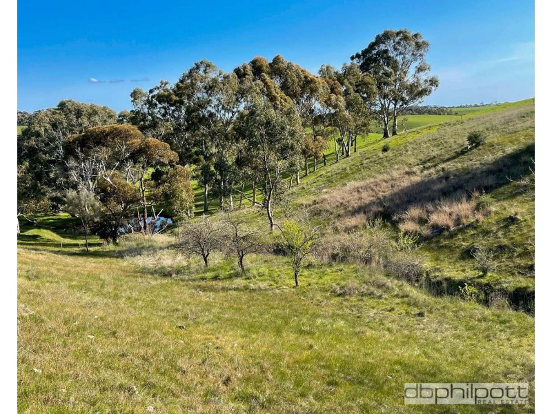 Lot 451 Gawler One Tree  Road, Uleybury SA 5114