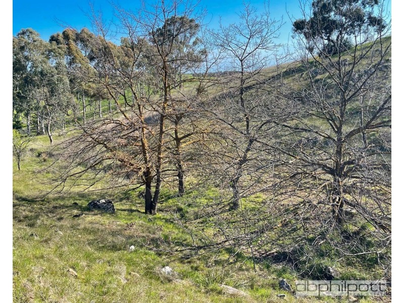 Lot 451 Gawler One Tree  Road, Uleybury SA 5114