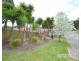 54 Wongabeena Drive, Surrey Downs SA 5126