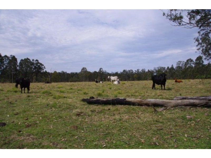 Lot 1 Dinjerra Rd, Glenugie NSW 2460