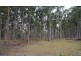Lot 1 Dinjerra Rd, Glenugie NSW 2460