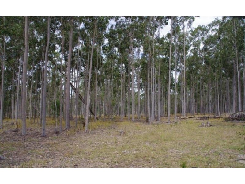 Lot 1 Dinjerra Rd, Glenugie NSW 2460