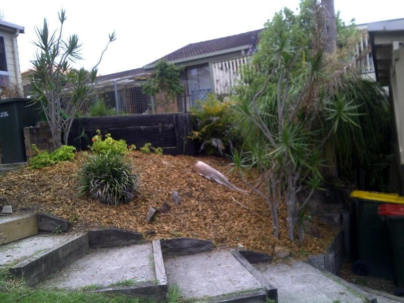 6 Barnes St, Woolgoolga NSW 2456