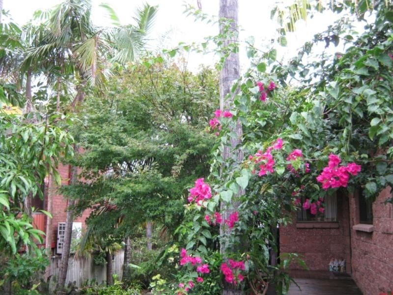 4 Island View St, Emerald Beach NSW 2456