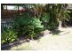 25 Schafer St, Red Rock NSW 2456
