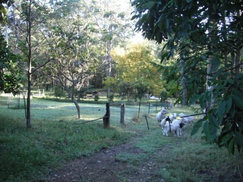 45 Palmer Rd, Woolgoolga NSW 2456