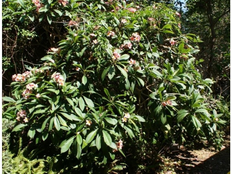 26 Ford St, Red Rock NSW 2456