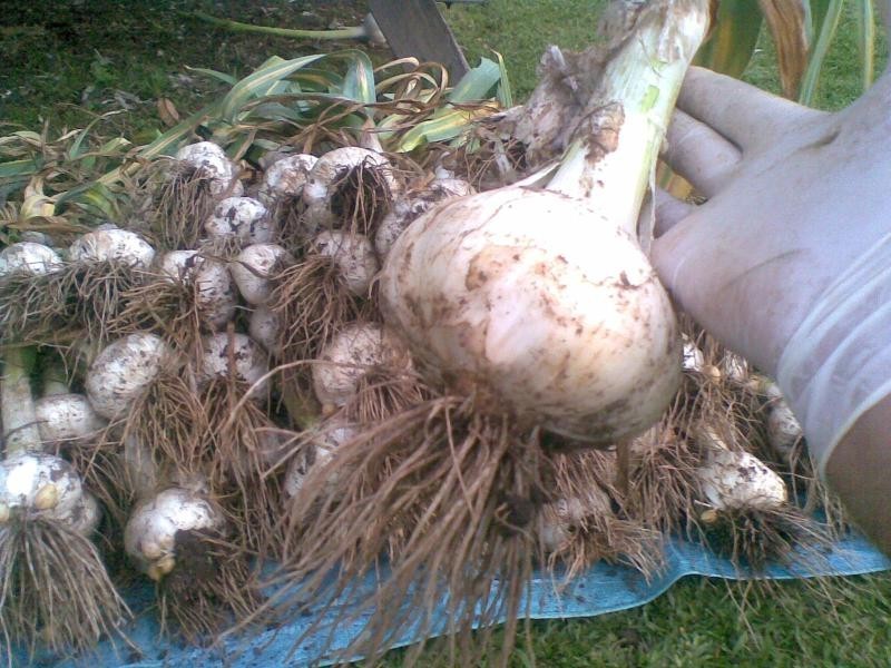 612 Parker  Rd, Lanitza NSW 2460