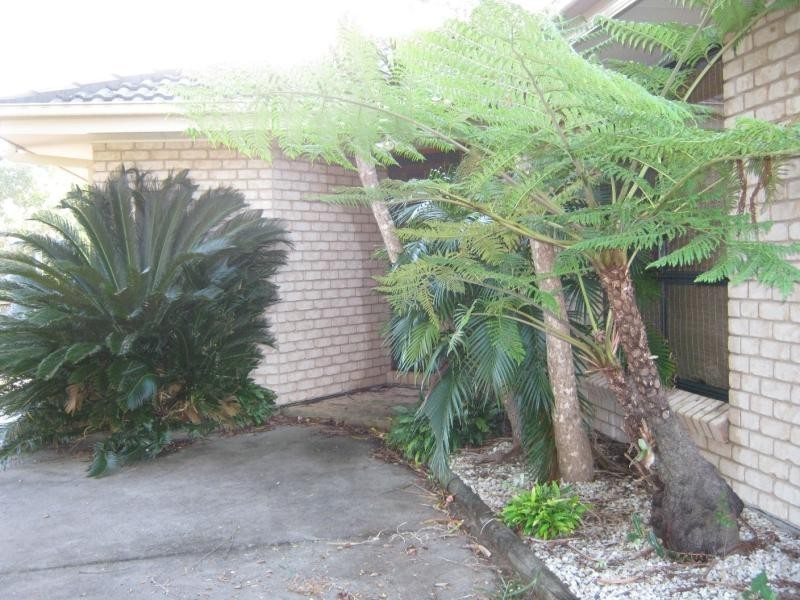 15 Azure Ave, Emerald Beach NSW 2456