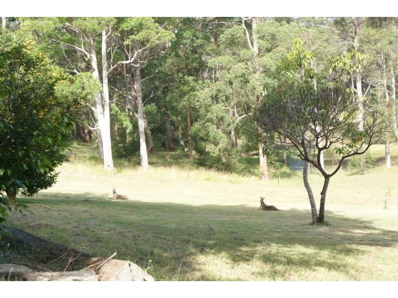 40 Palmer Rd, Woolgoolga NSW 2456