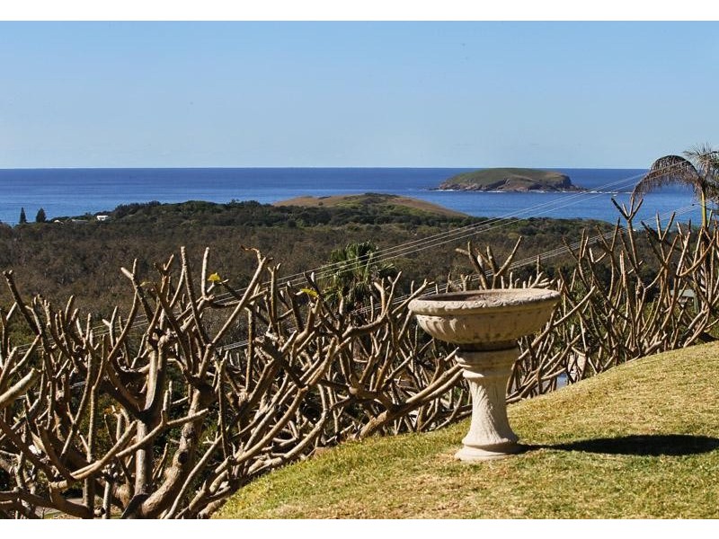 46 Saye  Cl, Sandy Beach NSW 2456