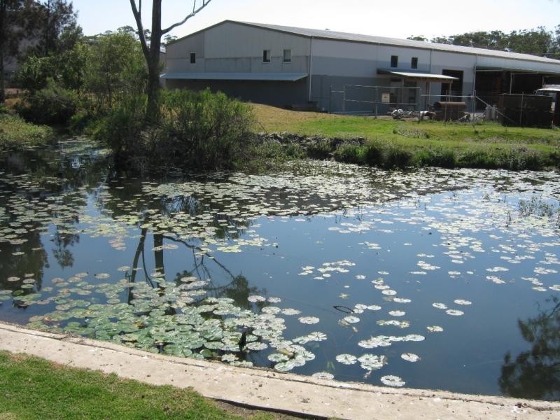 36 Bosworth Rd, Woolgoolga NSW 2456