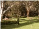 38 Darkum Rd, Mullaway NSW 2456