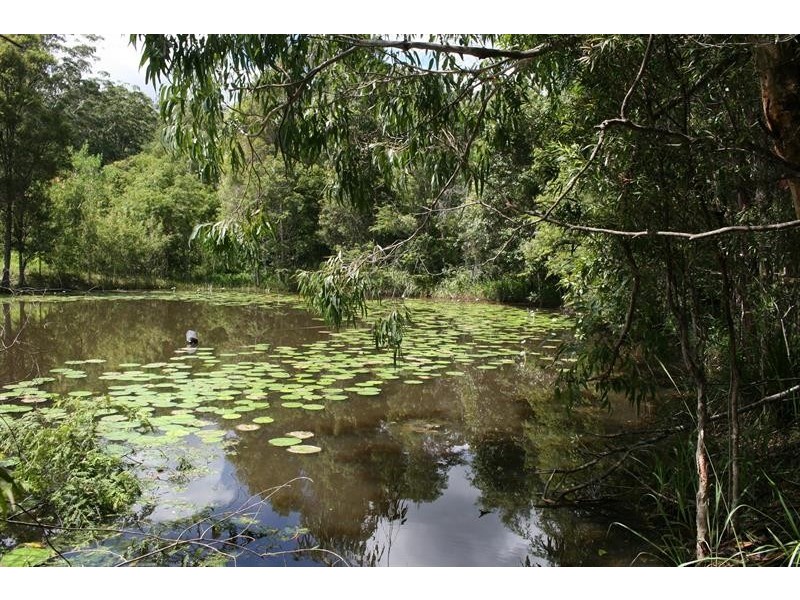 1386 Bucca Rd, Nana Glen NSW 2450