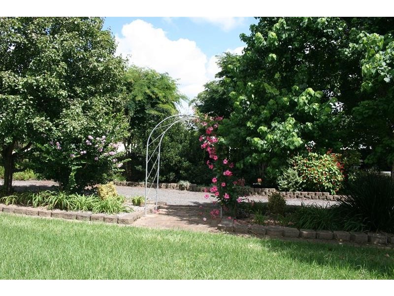 1386 Bucca Rd, Nana Glen NSW 2450