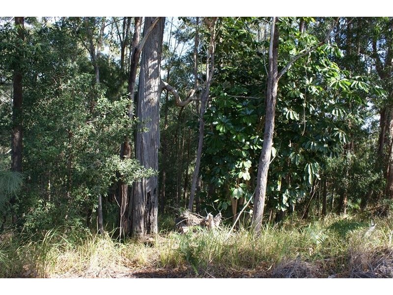 81C Lake Russell Dr, Emerald Beach NSW 2456