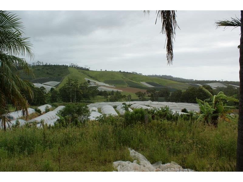 131A  Johnsons Rd, Sandy Beach NSW 2456