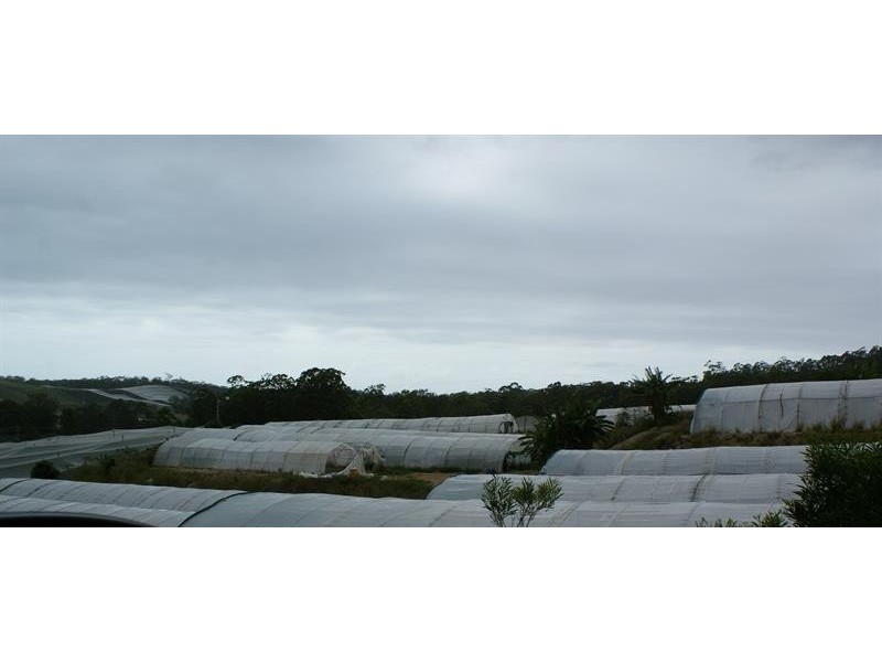 131A  Johnsons Rd, Sandy Beach NSW 2456