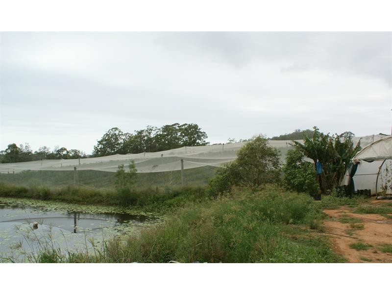 131A  Johnsons Rd, Sandy Beach NSW 2456