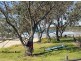 54 Arrawarra Rd, Arrawarra Headland NSW 2456