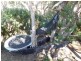Emerald Beach NSW 2456
