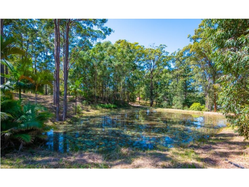 52 Palmer Road, Woolgoolga NSW 2456