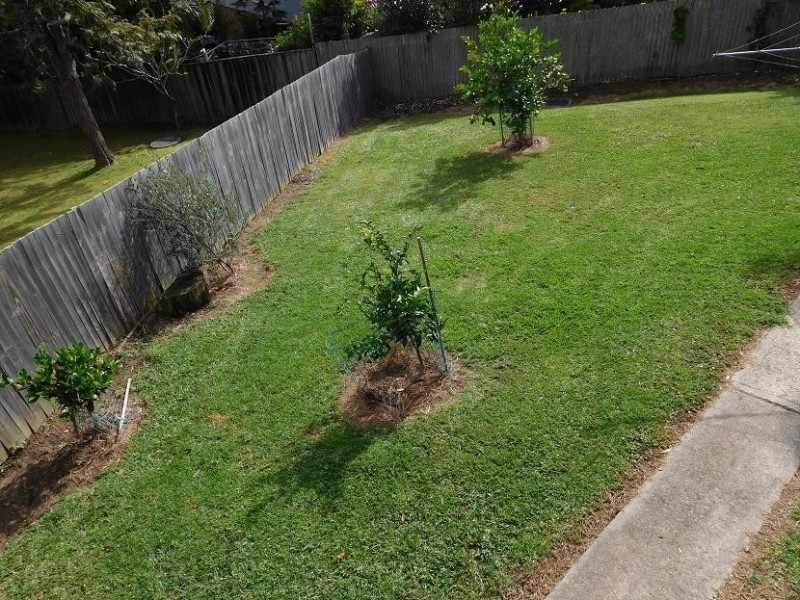 5 Diamond Head Drive, Sandy Beach NSW 2456