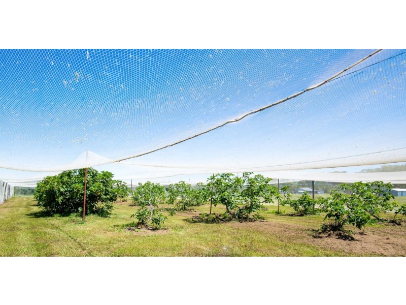 324 Omega Drive, Kungala NSW 2460