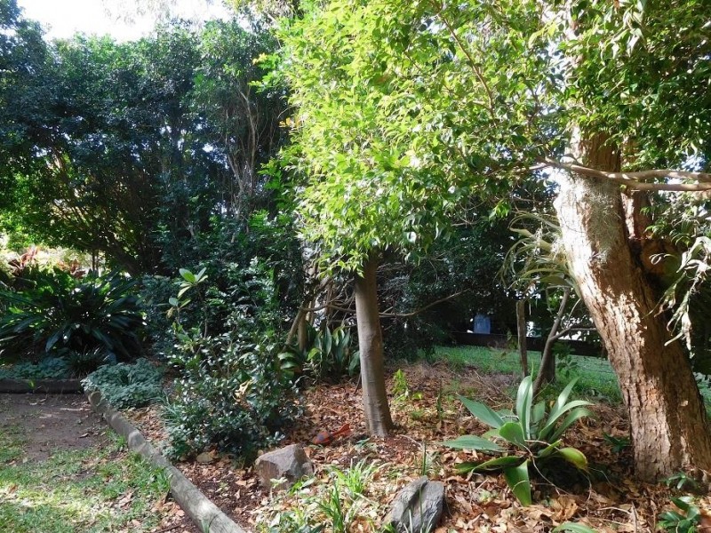 10 Ironbark Avenue, Sandy Beach NSW 2456