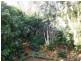10 Ironbark Avenue, Sandy Beach NSW 2456