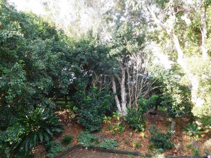 10 Ironbark Avenue, Sandy Beach NSW 2456