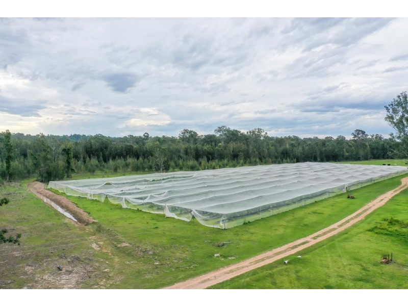 255 Wants Lane, Glenugie NSW 2460