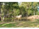 255 Wants Lane, Glenugie NSW 2460