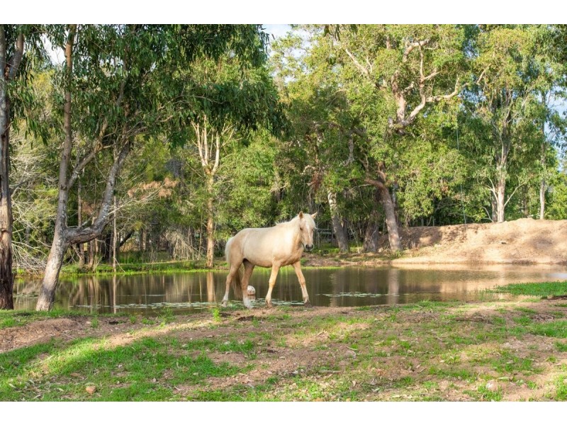 255 Wants Lane, Glenugie NSW 2460