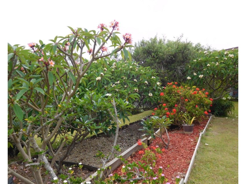 15 Campbell Street, Safety Beach NSW 2456