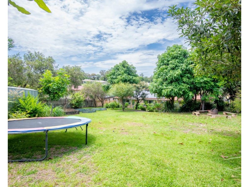 6 Sassafras Close, Woolgoolga NSW 2456