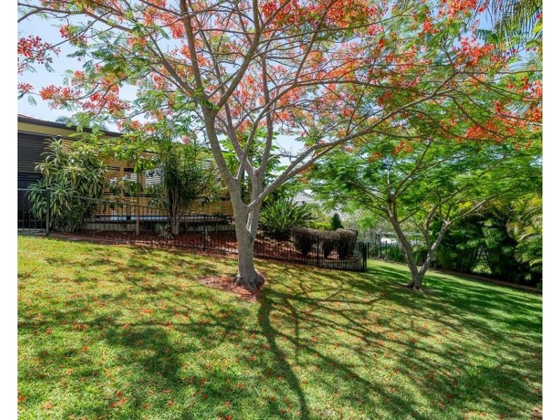 8 Vista Close, Woolgoolga NSW 2456
