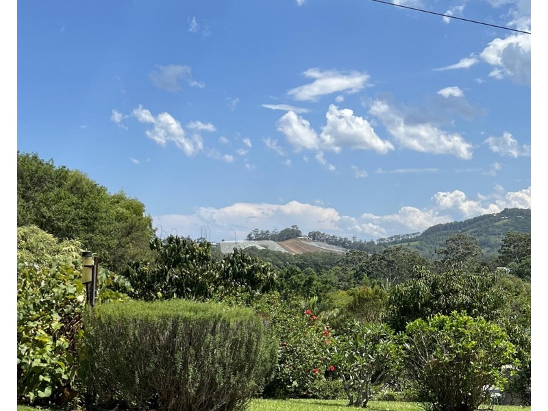 121 Newmans  Road, Woolgoolga NSW 2456