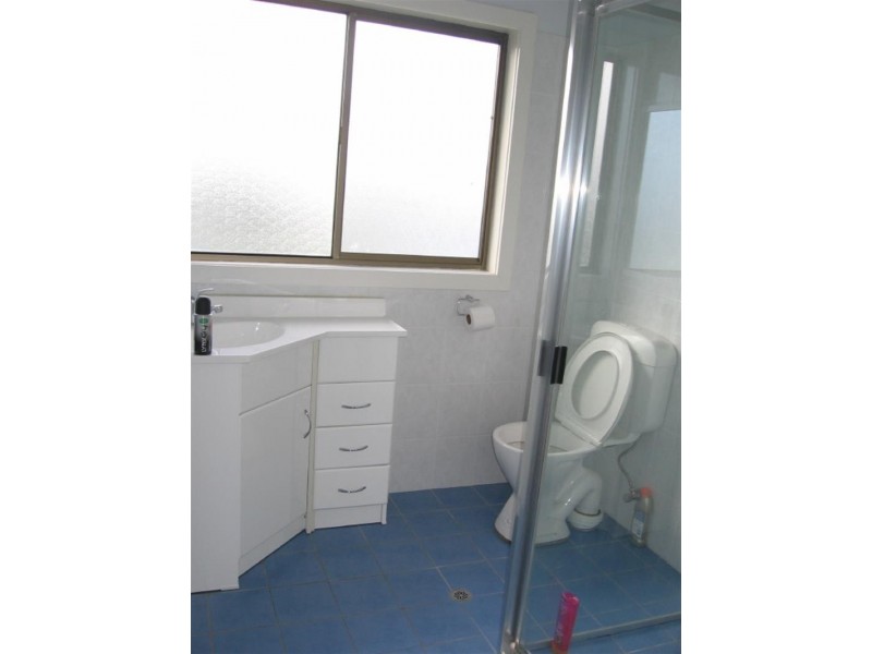 14 Palmer  St, Sefton NSW 2162
