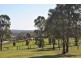 Minto NSW 2566